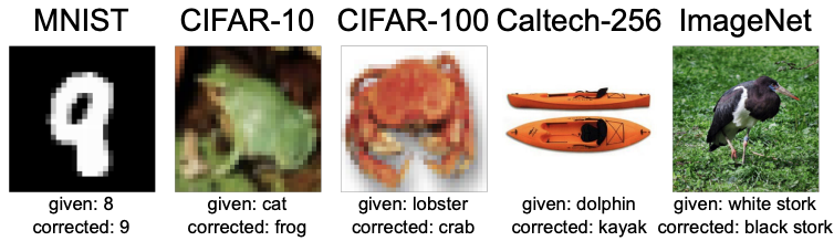 label noise
